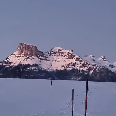 Franz Mit Gratis Parkplatz * 