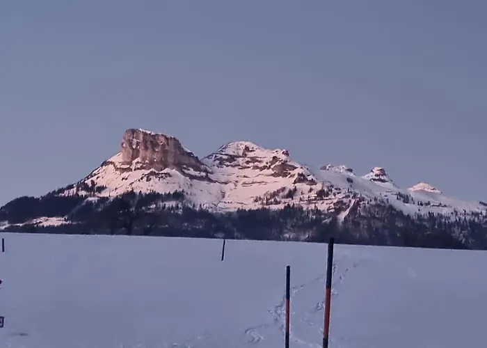 Franz Mit Gratis Parkplatz * 